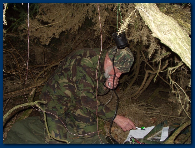 600x449 pixels (163K)